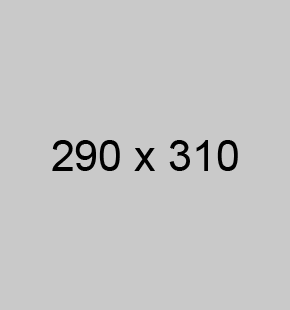 290x310